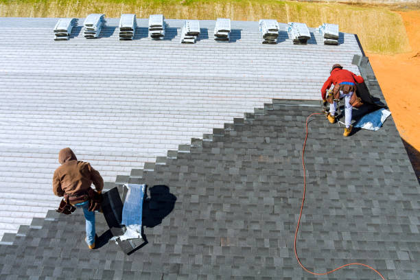 Best Roof Gutter Cleaning  in Eastwood, LA
